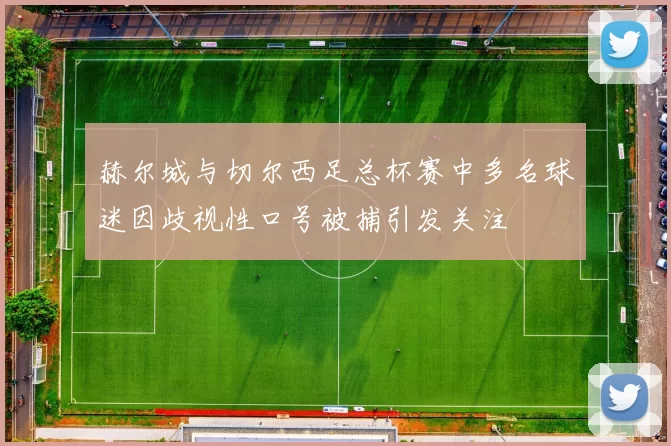 赫尔城与切尔西足总杯赛中多名球迷因歧视性口号被捕引发关注